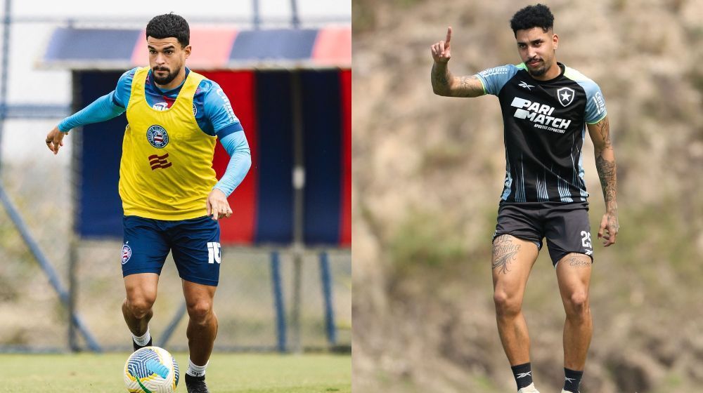 Bahia x Botafogo: horário e onde assistir ao vivo pelo Brasileirão