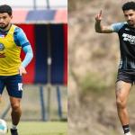 Bahia x Botafogo: horário e onde assistir ao vivo pelo Brasileirão