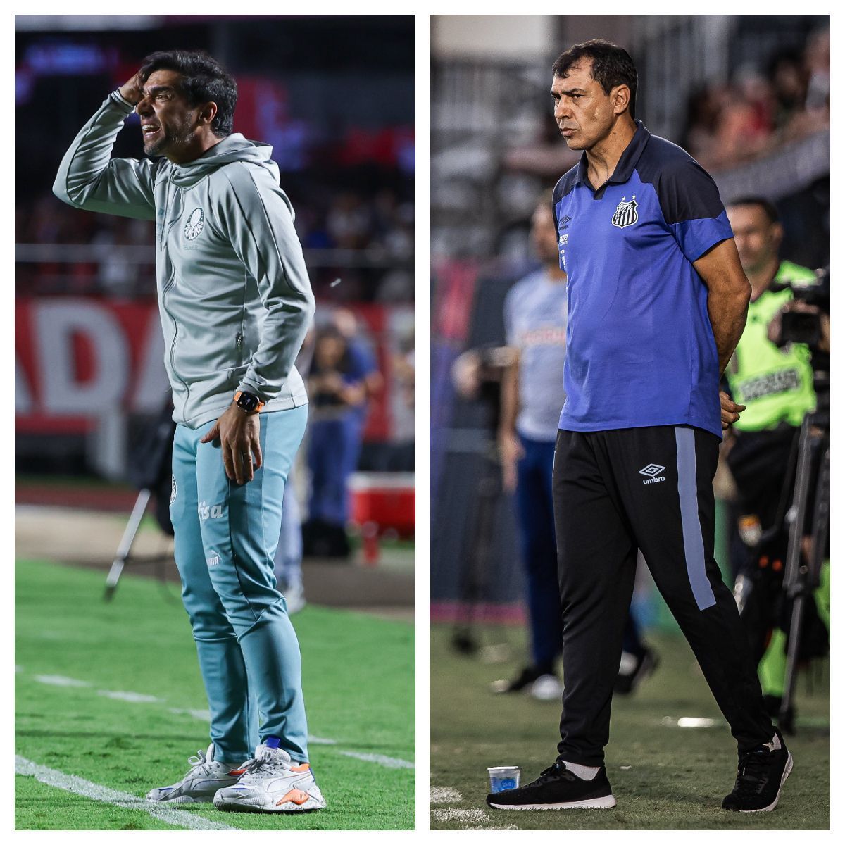 Jogos de Palmeiras e Santos na última rodada do Paulista são alterados