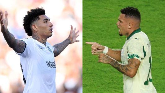 Botafogo e Palmeiras