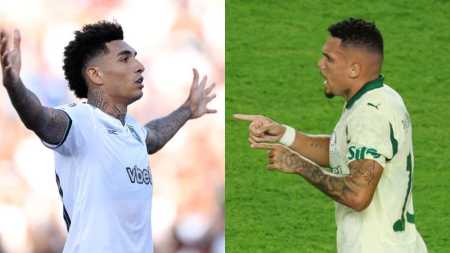 Botafogo e Palmeiras