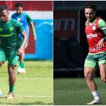 Fluminense recebe o Palmeiras sonhando em repetir nova arrancada no Brasileiro