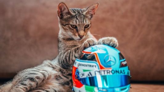 Gatinha com a miniatura do capacete de Kimi Antonelli