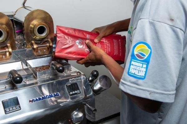 Agricultura familiar impulsiona cafeicultura sustentável no Sudoeste da Bahia