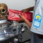 Agricultura familiar impulsiona cafeicultura sustentável no Sudoeste da Bahia