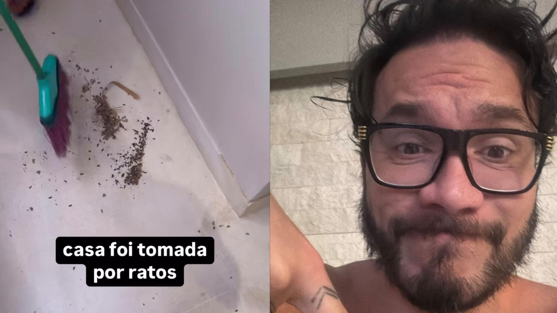 Mansão de Eliezer e Viih Tube é invadida por ratos: 'Ferrou de vez'