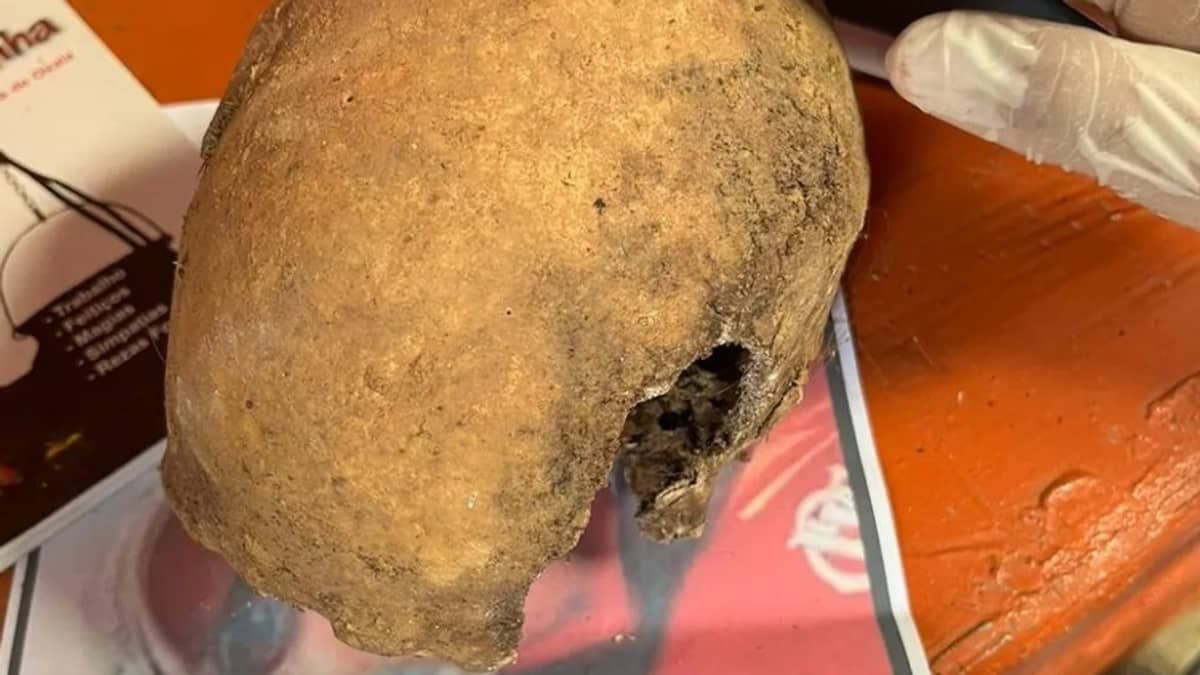 Polícia encontra fragmento de possível crânio humano, em Aimorés