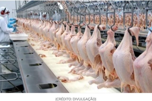 Carne de frango perde valor e ganha competitividade frente à suína e bovina