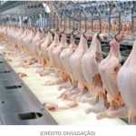 Engrossa a fila de países que bloqueiam a carne de frango brasileira