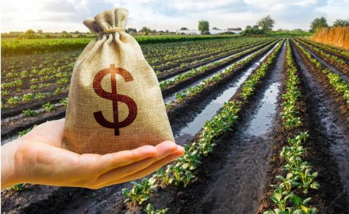 Agropecuaristas buscam financiamentos