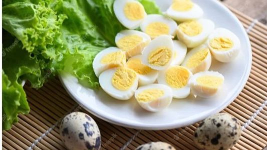 Cientistas da Universidade de Hiroshima criam ovo que não causa alergia