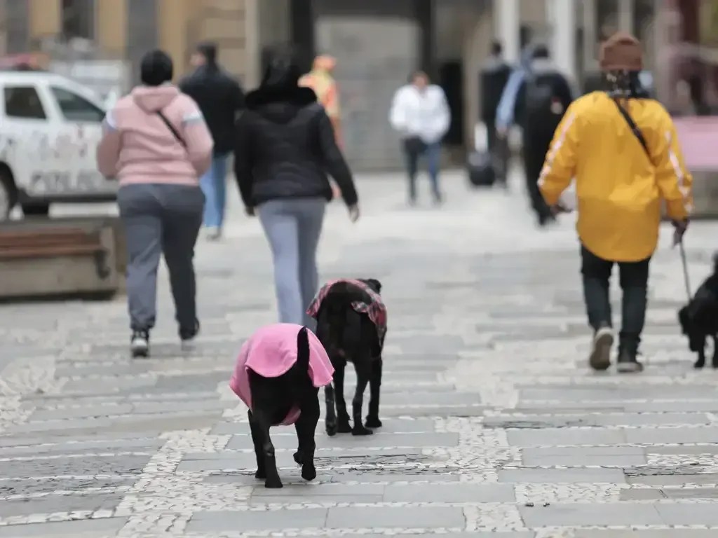 Formação de ciclone extratropical traz frio e vetania para regiões do Brasil