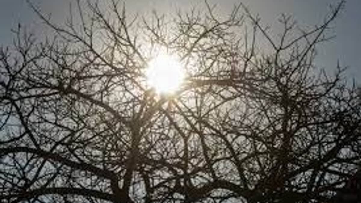 Previsão do tempo: dia deve ter tempo seco e máxima de 30ºC em Belo Horizonte