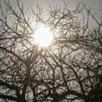 Previsão do tempo: dia deve ter tempo seco e máxima de 30ºC em Belo Horizonte