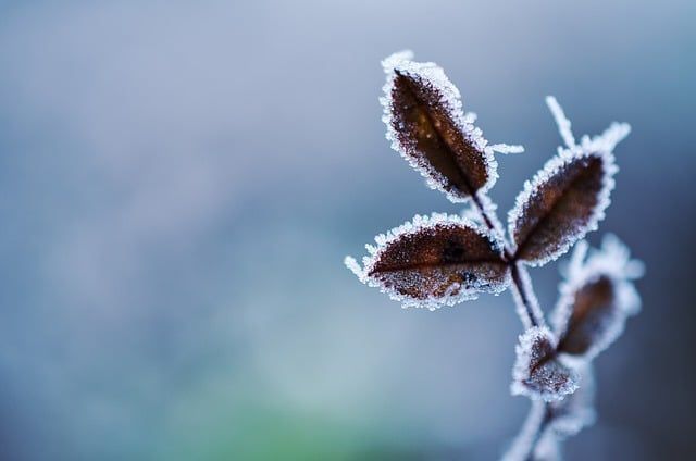 Maio começa com frio e temperatura abaixo de zero no Sul, Sudeste e Centro-Oeste do Brasil