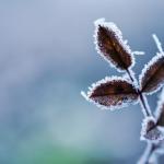 Maio começa com frio e temperatura abaixo de zero no Sul, Sudeste e Centro-Oeste do Brasil