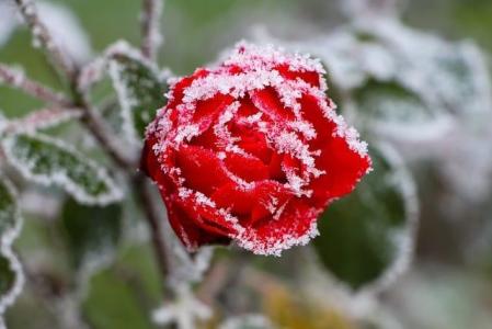 Alerta da Defesa Civil divulgado na manhã desta terça-feira informa que a temperatura está em declínio na capital, com mínimas abaixo de 13°C, especialmente nos dias 27, 28 e 29/06.