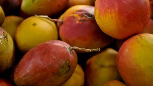 Fruta causou acidente em rodovia no interior de Minas