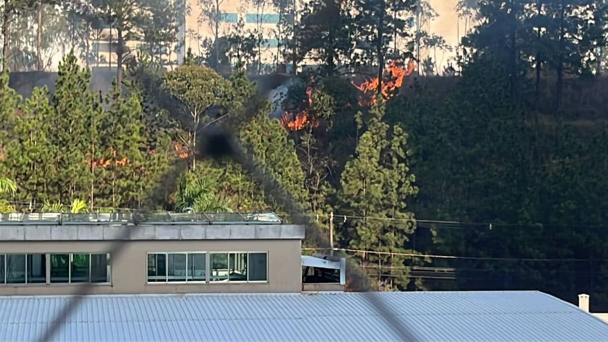 Vídeo: mata próxima ao BH Shopping pega fogo e mobiliza Corpo de Bombeiros