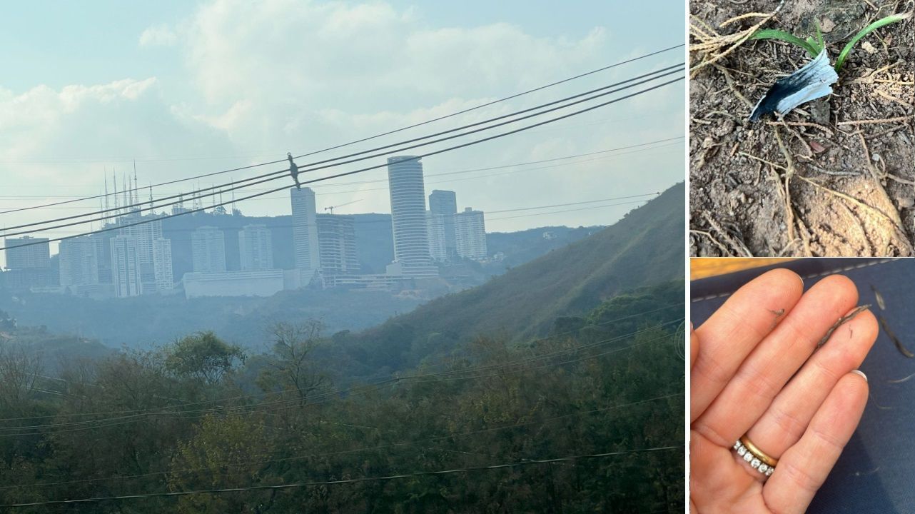 Tempo seco e incêndios deixam céu 'enfumaçado' e geram 'fuligem' na Grande BH