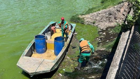 Funcionários recolhem animais na Lagoa da Pampulha