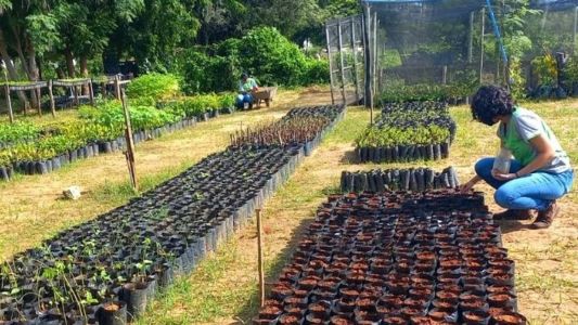Fundação Caio Martins atua junto a comunidades rurais no interior de Minas