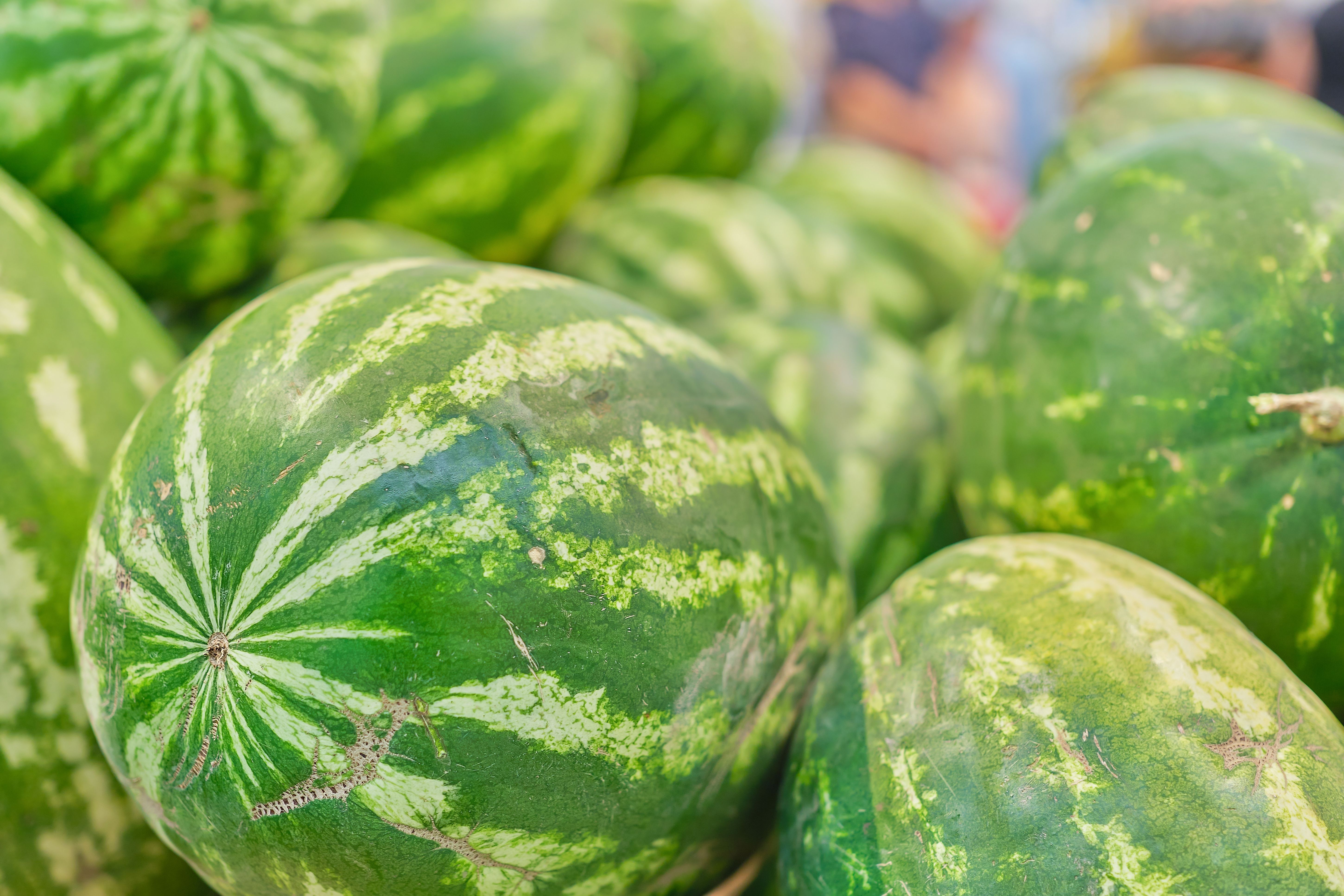 Fruta típica do verão pode ser aliada da saúde cardiovascular; saiba qual