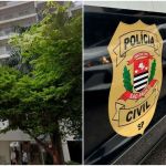 Mulher de suspeito de participar de furto de R$ 1 milhão em joalheria é presa em SP