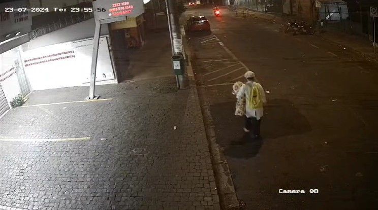 Mulher suspeita de sequestrar recém-nascida de hospital de MG é presa em GO