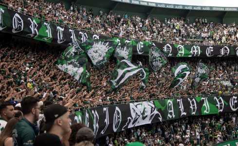 Estádio Couto Pereira espera recorde de público na temporada para o Athletiba