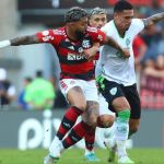 O aproveitamento do Flamengo em jogos de mata-mata e de 'campeonatos' em 2023