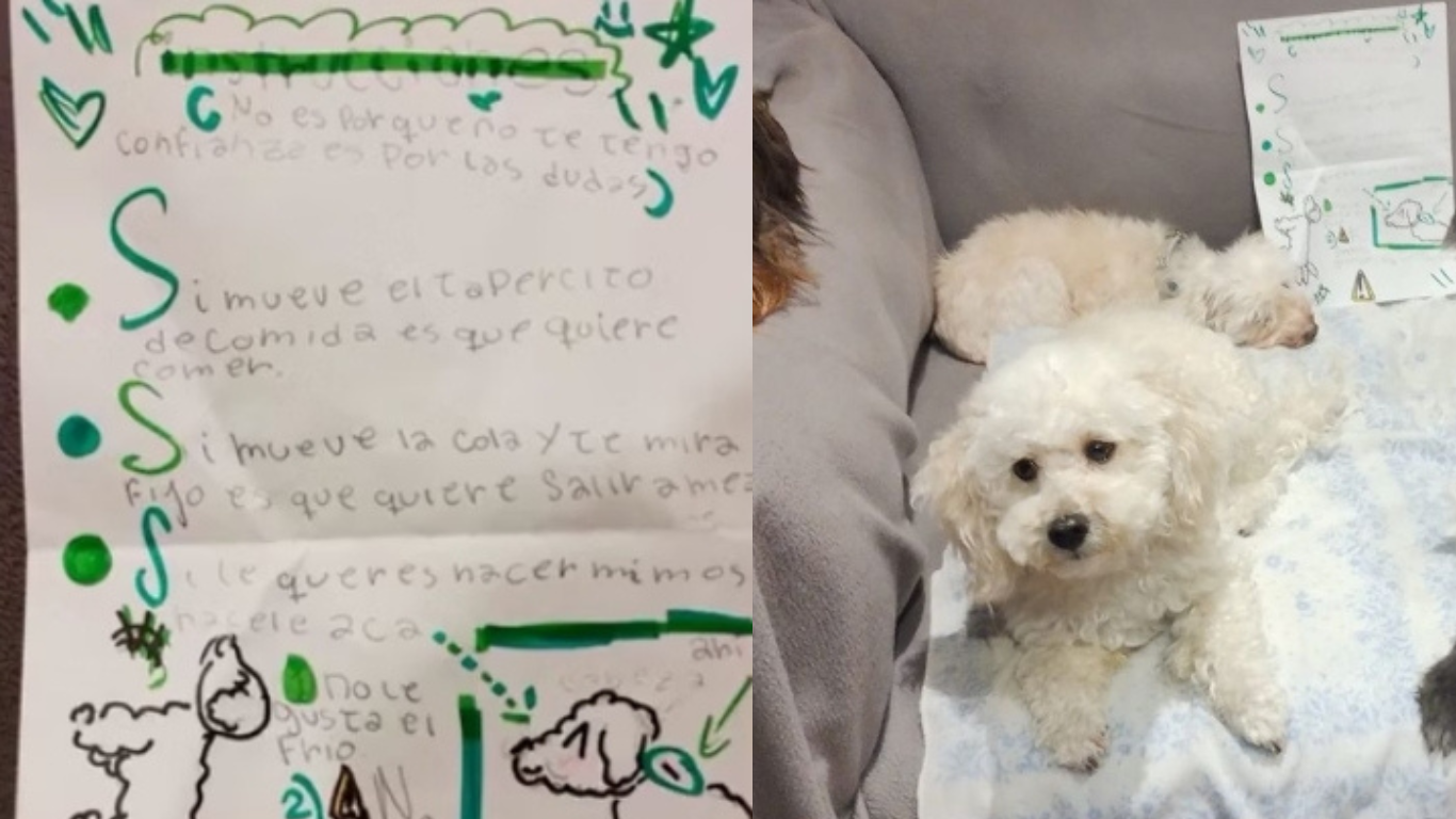 Menina escreve cartinha com instruções para creche “cuidar bem” de seu cachorro