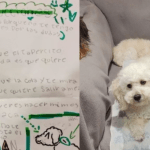 Menina escreve cartinha com instruções para creche “cuidar bem” de seu cachorro