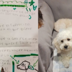 Menina escreve cartinha com instruções para creche “cuidar bem” de seu cachorro