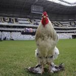 Atlético anuncia mais dois ídolos para 'jogo das lendas' na Arena MRV