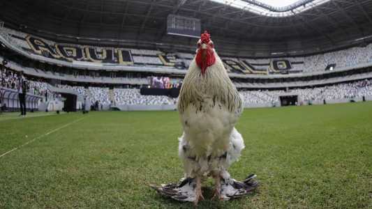 Galo confirma Euller e Sérgio Araújo no 'jogo das lendas' da Arena MRV