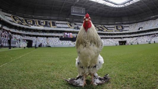Galo confirma Euller e Sérgio Araújo no 'jogo das lendas' da Arena MRV