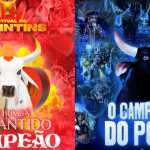 Boi Garantido e Boi Caprichoso: entenda a origem dos nomes dos bois do Festival de Parintins