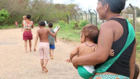 Garimpeiros ilegais que atuam em terra indígena Yanomami usam Starlink de forma clandestina