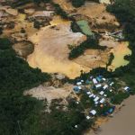 PF prepara ofensiva contra garimpeiros em território Yanomami, em Roraima