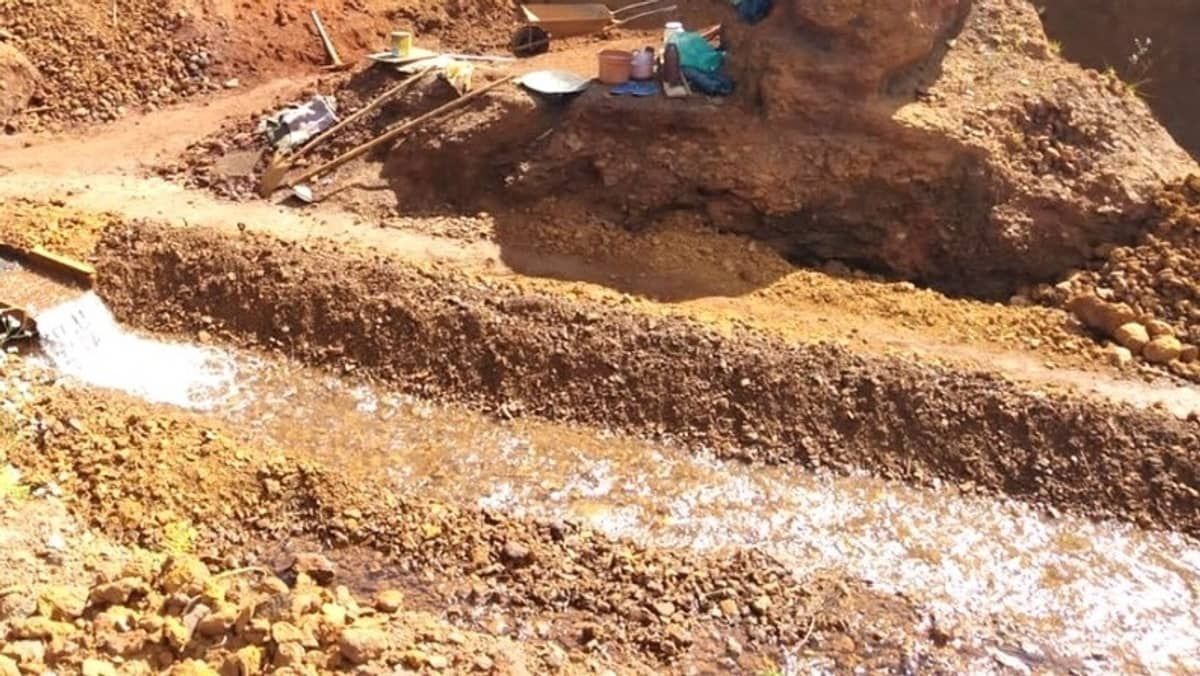 Recadastramento do Bolsa Família vai incluir trabalhadores ilegais do garimpo