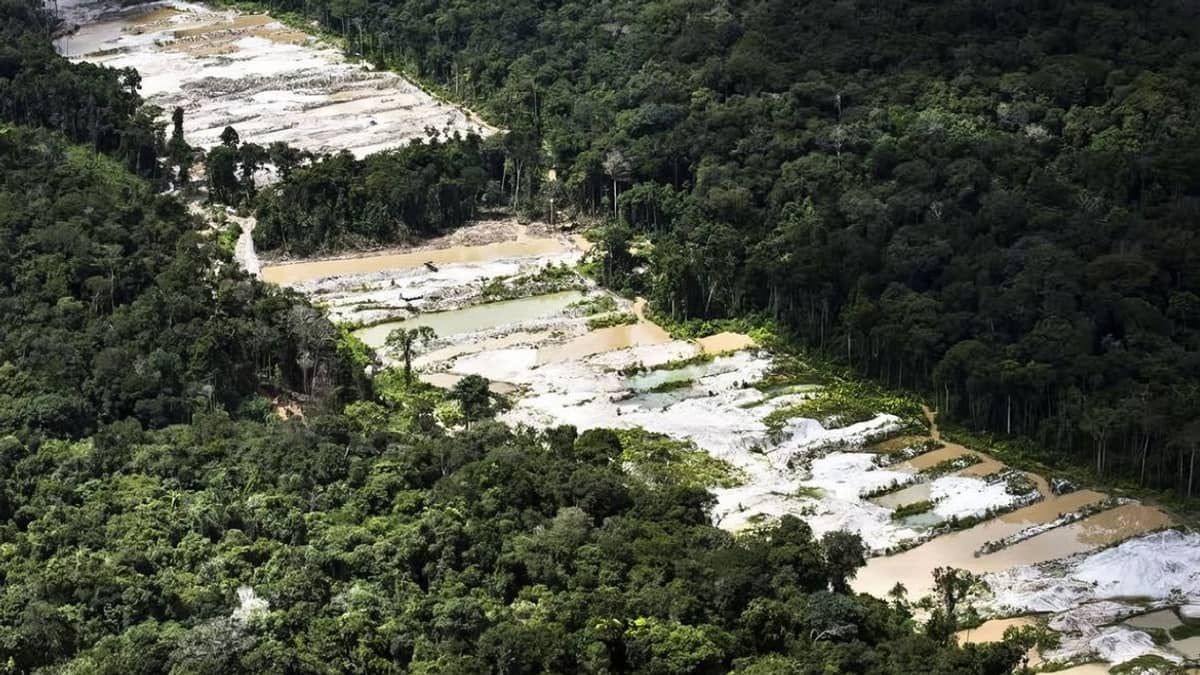 Dez garimpos ilegais são destruídos por força-tarefa na Amazônia