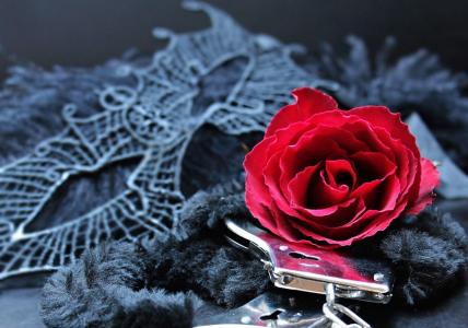 Homem descobriu que a namorada era garota de programa após levá-la para morar com ele