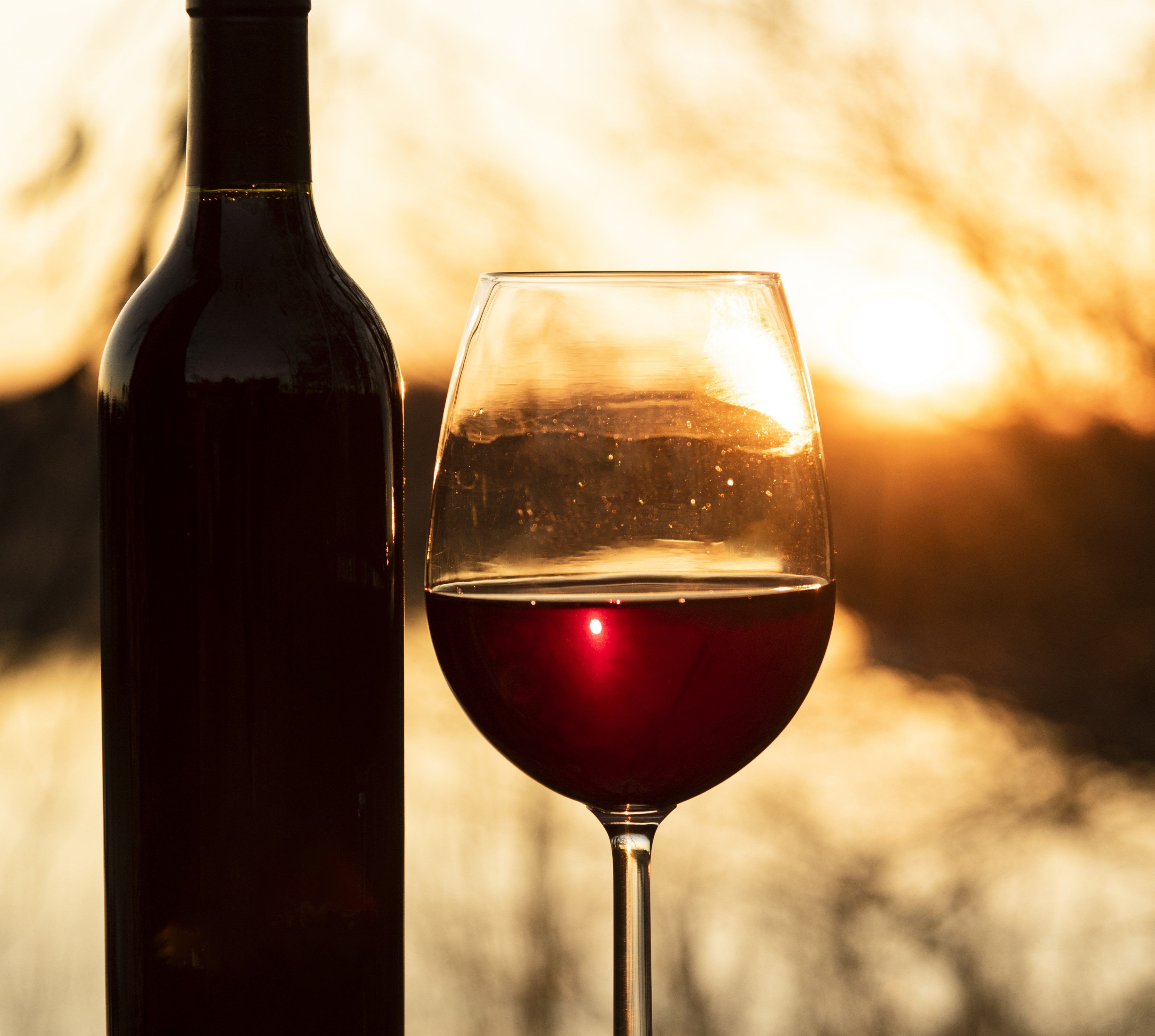 Como escolher o vinho certo? Sommelier dá dicas para ocasiões ao ar livre