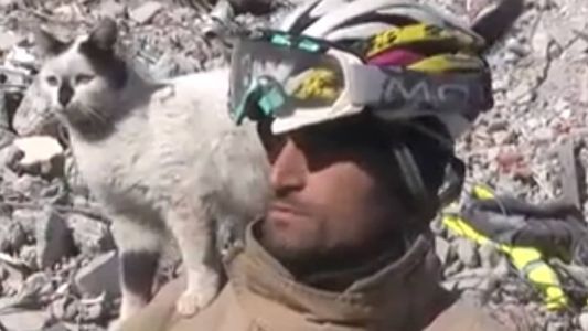 Gato no ombro do bombeiro que o salvou