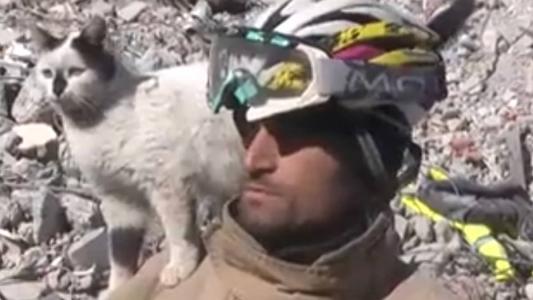 Gato no ombro do bombeiro que o salvou