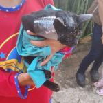 Gato prende a cabeça em pote de vidro e fica 'pistola' após resgate dos bombeiros em MG