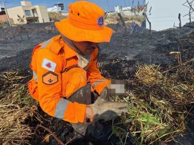 Foto mostra bombeiro durante incêndio