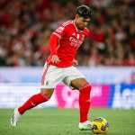 Boavista x Benfica: horário e onde assistir ao vivo pelo Campeonato Português