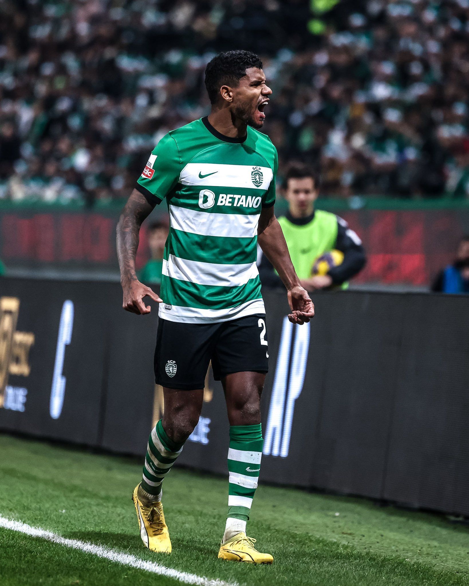 Sporting x Estoril: horário e onde assistir ao vivo pelo Campeonato Português